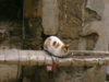 DSC01423.JPG