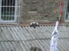 DSCN0193.JPG