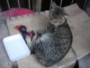 DSCN0713.JPG