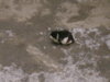 DSC01425.JPG