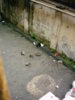 PIC00123.JPG