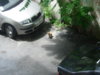 DSCN0031.JPG