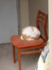 DSCN0324.JPG