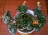 WP_20160318_13_21_40_Pro.jpg