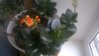 WP_20160318_13_20_02_Pro.jpg