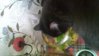 WP_20160319_10_50_01_Pro.jpg
