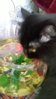 WP_20160319_10_50_14_Pro.jpg