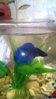 WP_20160319_10_52_15_Pro.jpg