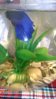 WP_20160319_10_52_30_Pro.jpg