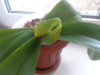 DSC01241.JPG