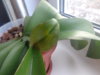 DSC01242.JPG