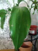 20160321_211316.jpg