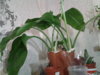 20160321_211446.jpg