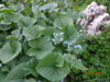 DSC04028.JPG