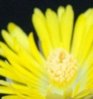 supercoolpics_05_310720101657501.jpg