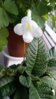 20160327_182135.jpg