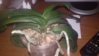 20160329_062009.jpg