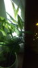 IMG_20160329_101923.jpg