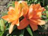 DSCN0621.JPG