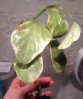 2016-03-31+20-43-05.JPG