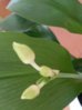 20160331_114853.jpg