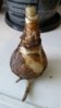 20160401_173355.jpg