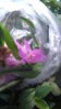 DSC_0955.JPG