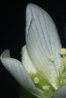 DSC_0703-3.jpg