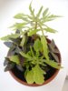 20160404_181642.jpg