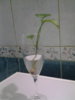20160405_171242.jpg
