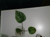 20160405_171312.jpg