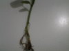 20160405_171353.jpg
