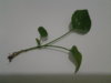 20160405_171425.jpg
