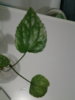 20160405_171503.jpg