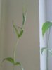 20160404_143426-1.jpg