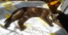 20160407_083641.jpg