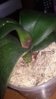 20160401_070701.jpg