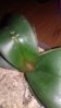 20160401_070739.jpg