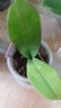 20160407_131241.jpg
