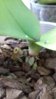 20160407_131255.jpg