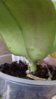20160407_131419.jpg