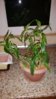 20160407_193309.jpg