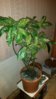 20160407_193353.jpg