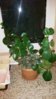 20160407_193457.jpg