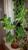 20160407_193547.jpg