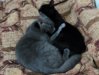 DSC02187.JPG