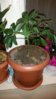 20160407_193554.jpg