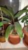 20160407_193559.jpg