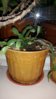 20160407_193618.jpg