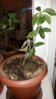 20160407_193638.jpg
